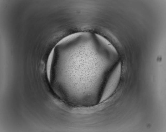 X0000101710025200807241505