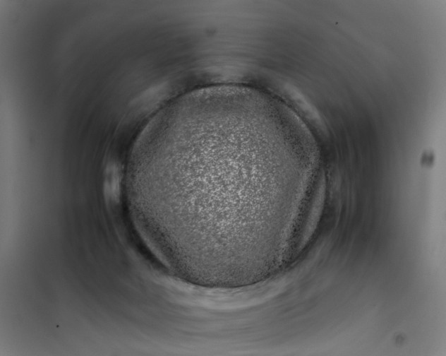 X0000101710026200807241505