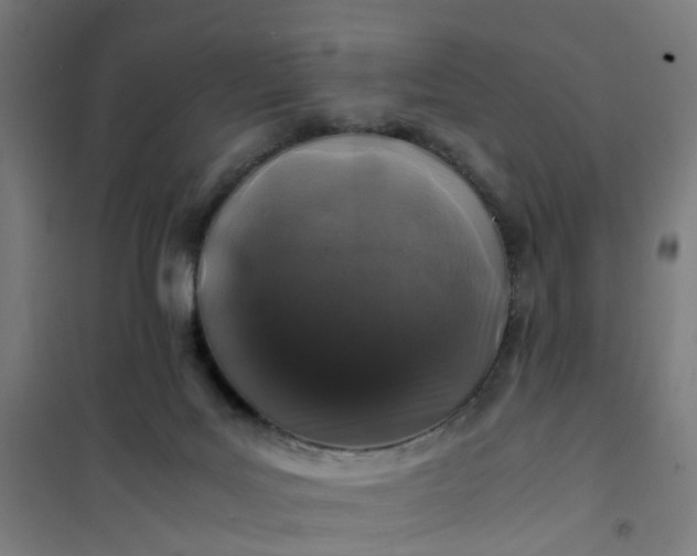 X0000101710027200807241505