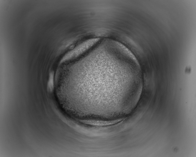 X0000101710028200807241505