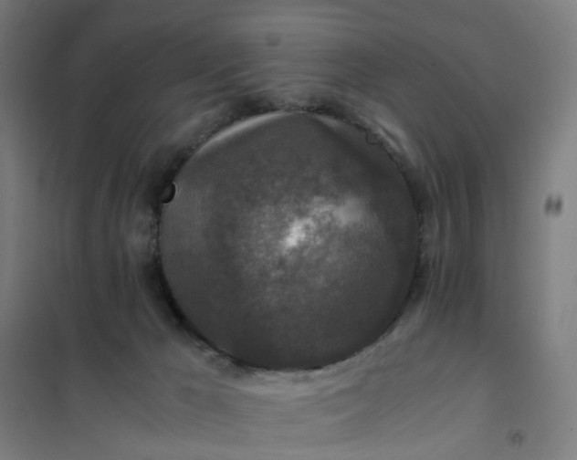 X0000101710029200807241505