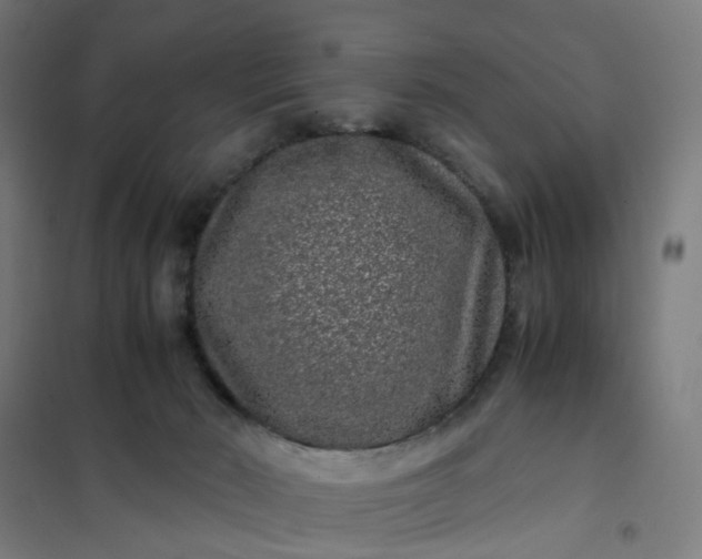 X0000101710030200807241505