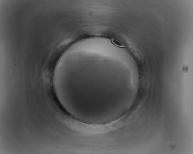 X0000101710031200807241505