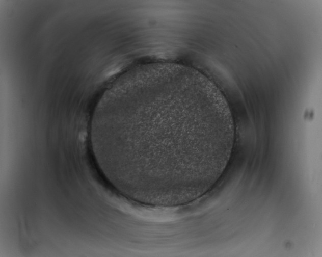 X0000101710032200807241505