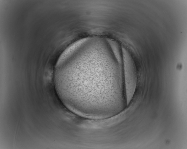 X0000101710033200807241505