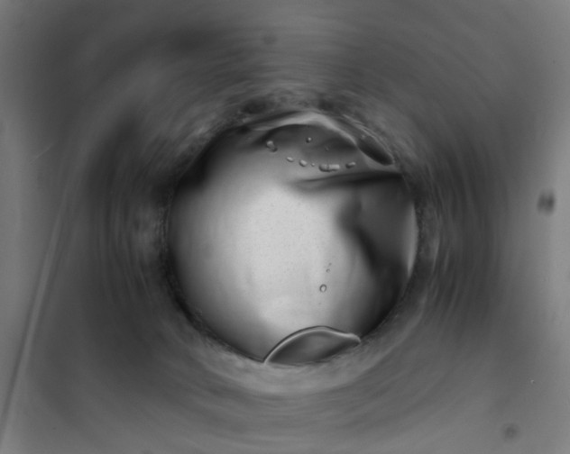 X0000101710034200807241505