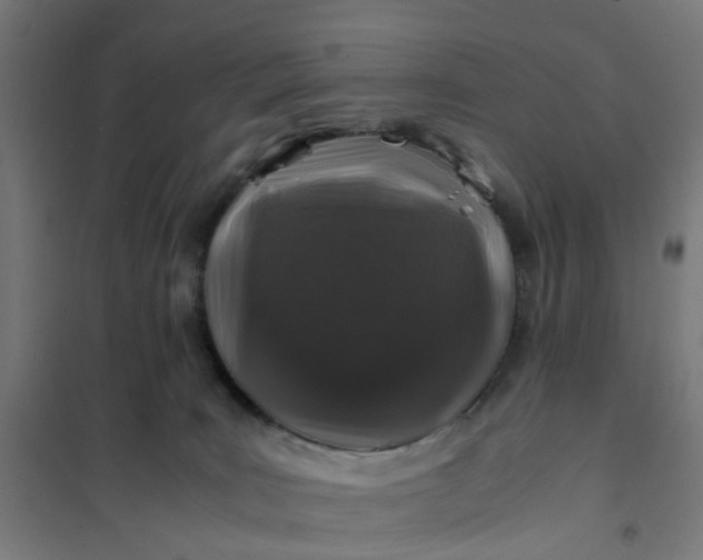 X0000101710035200807241505