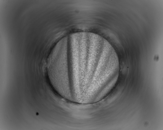 X0000101710036200807241505