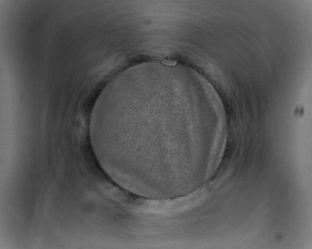 X0000101710037200807241505