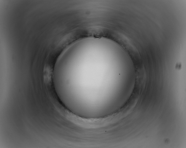 X0000101710038200807241505