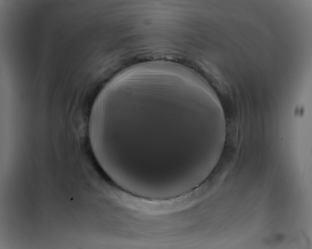 X0000101710039200807241505