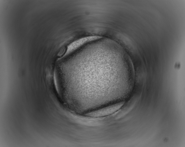 X0000101710040200807241505