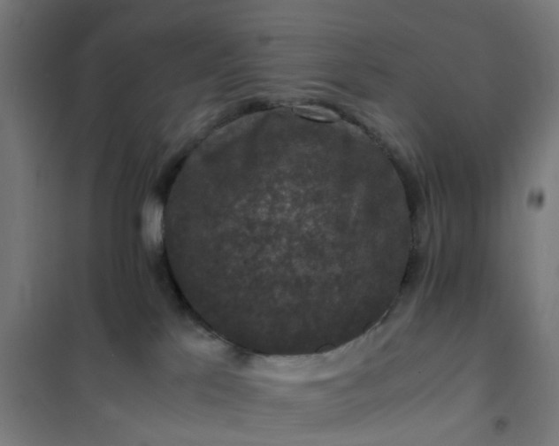 X0000101710041200807241505