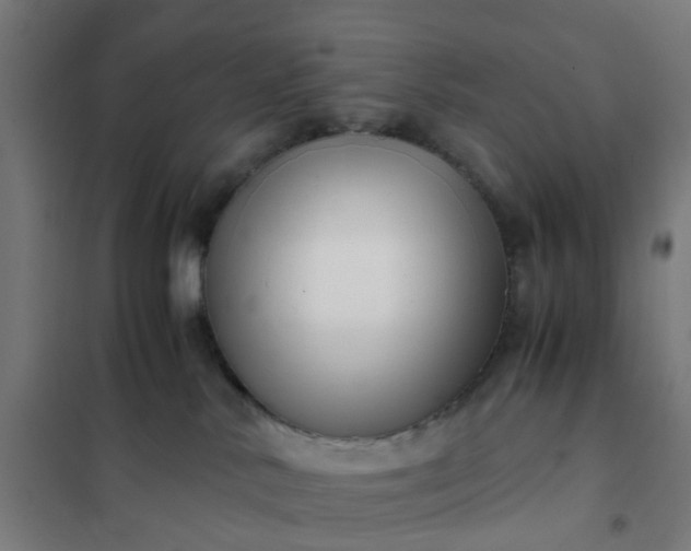 X0000101710042200807241505