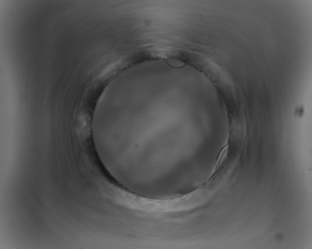 X0000101710043200807241505