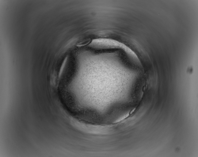 X0000101710044200807241505