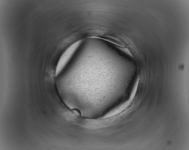 X0000101710045200807241505