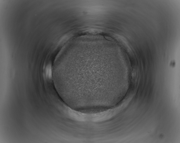 X0000101710046200807241505