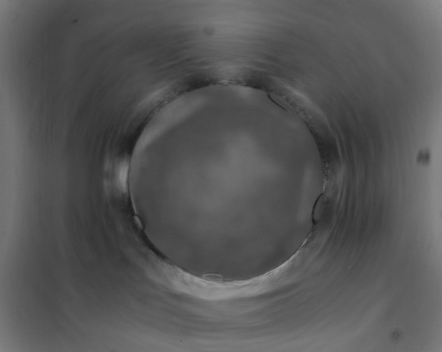 X0000101710047200807241505