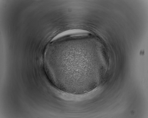 X0000101710048200807241505