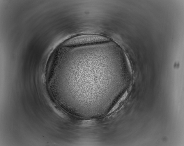 X0000101710050200807241504