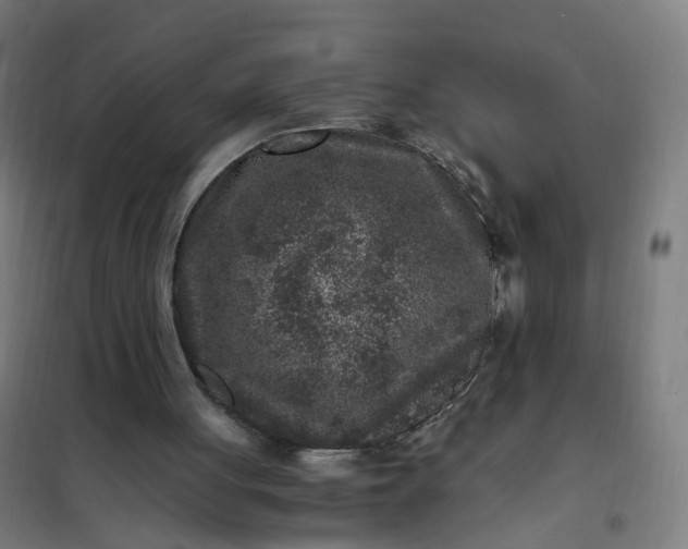 X0000101710051200807241504