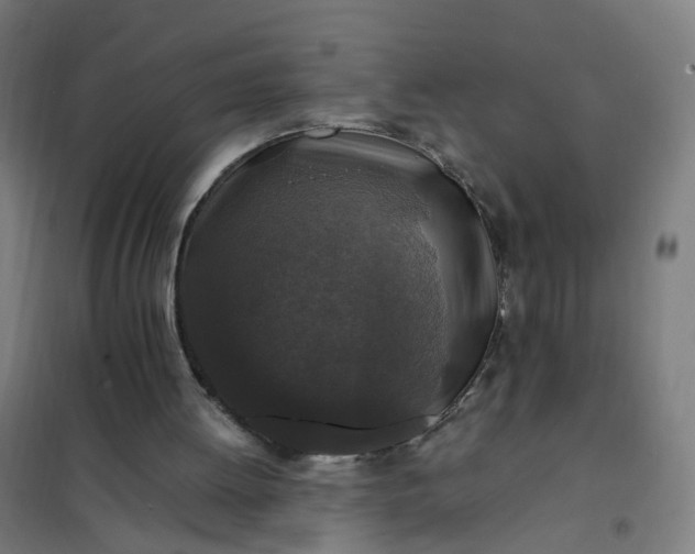 X0000101710052200807241504