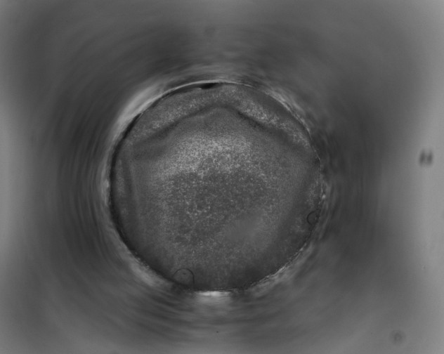 X0000101710053200807241504