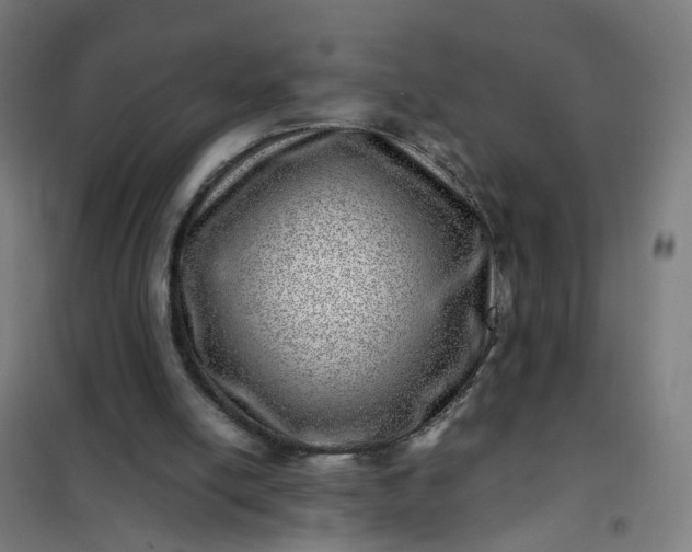 X0000101710054200807241504