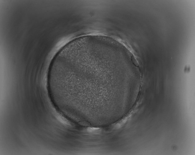 X0000101710055200807241504