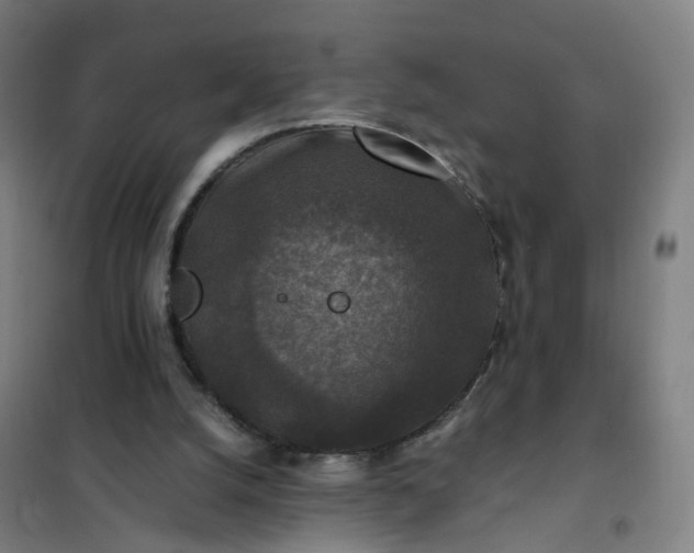 X0000101710056200807241504