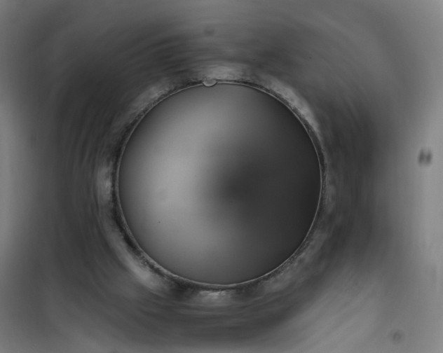 X0000101710057200807241504