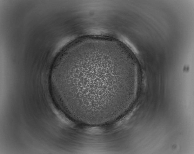 X0000101710058200807241504