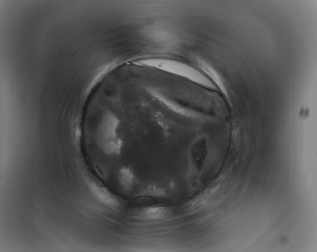 X0000101710059200807241504