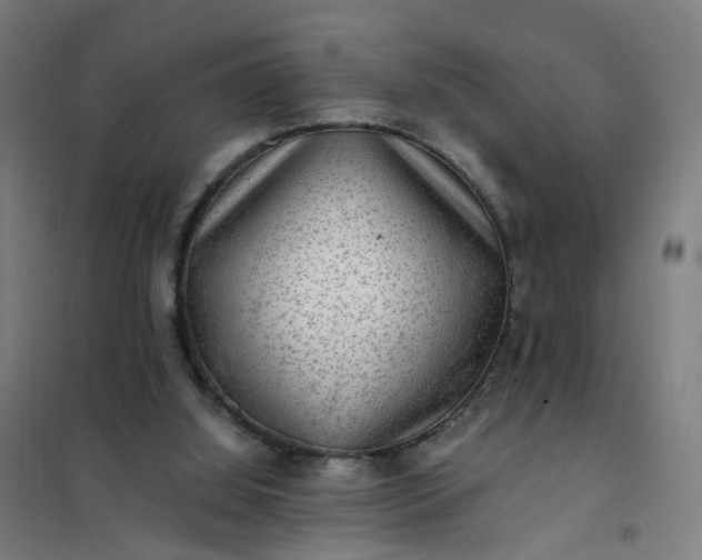 X0000101710060200807241504