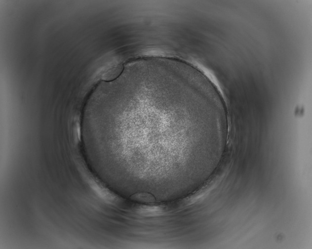 X0000101710061200807241505