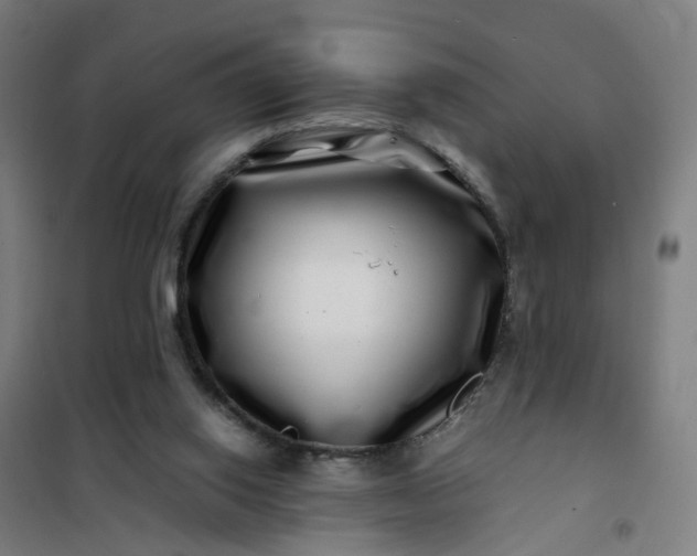 X0000101710062200807241505