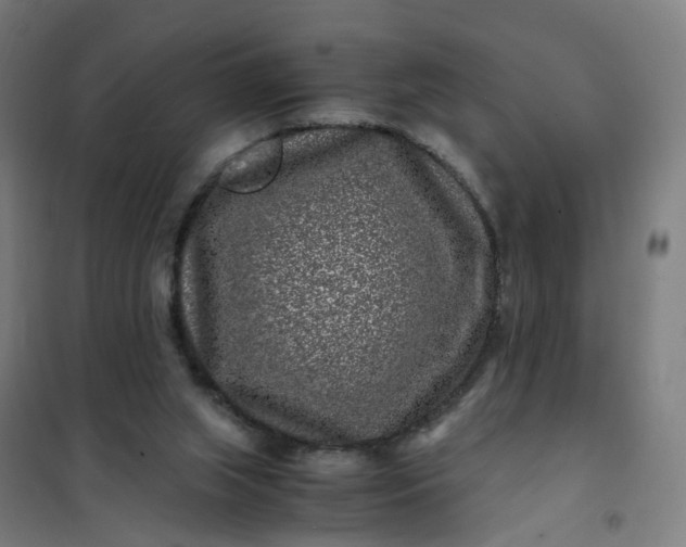 X0000101710063200807241505