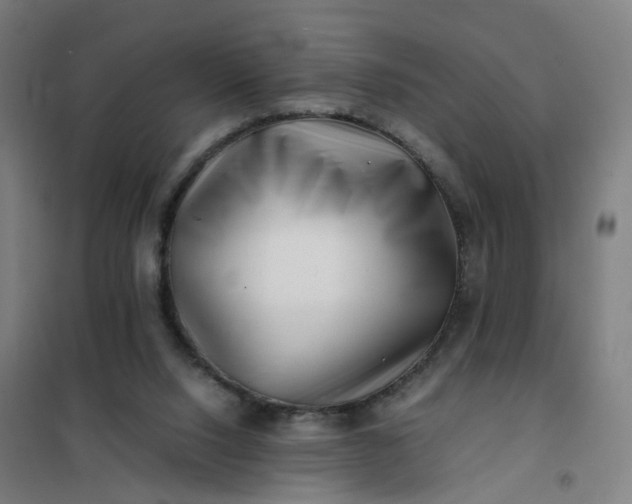 X0000101710064200807241505