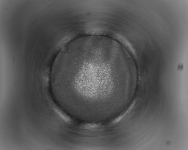 X0000101710065200807241505