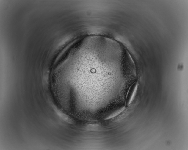 X0000101710066200807241505