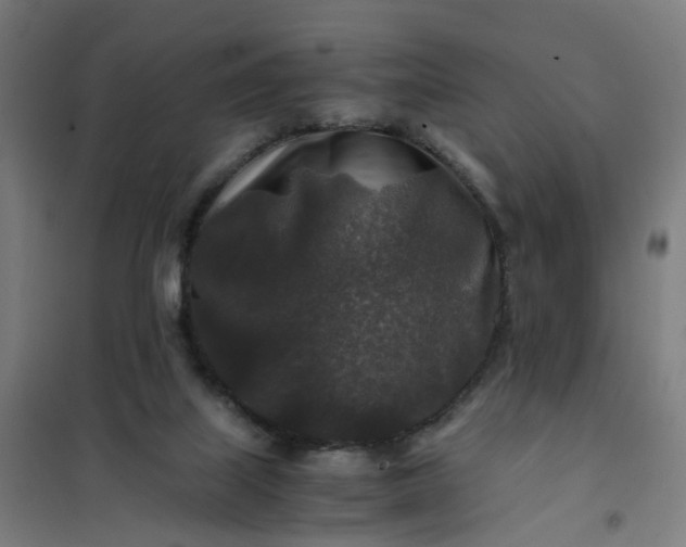 X0000101710067200807241505