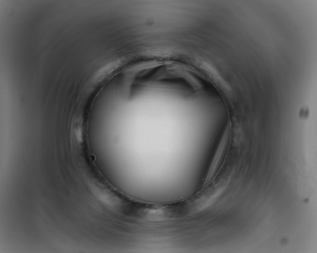 X0000101710068200807241505