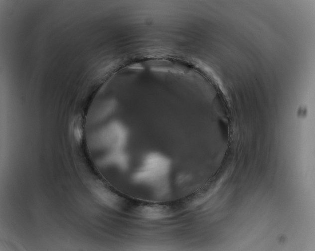 X0000101710069200807241505