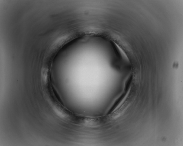 X0000101710070200807241505