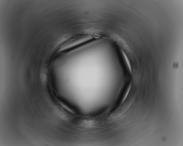 X0000101710071200807241505