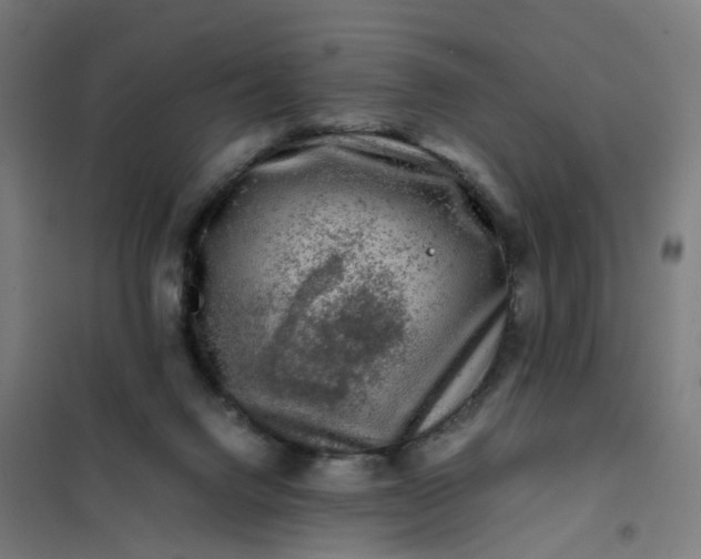 X0000101710072200807241505