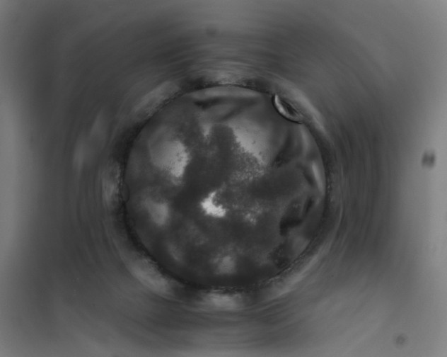 X0000101710073200807241505