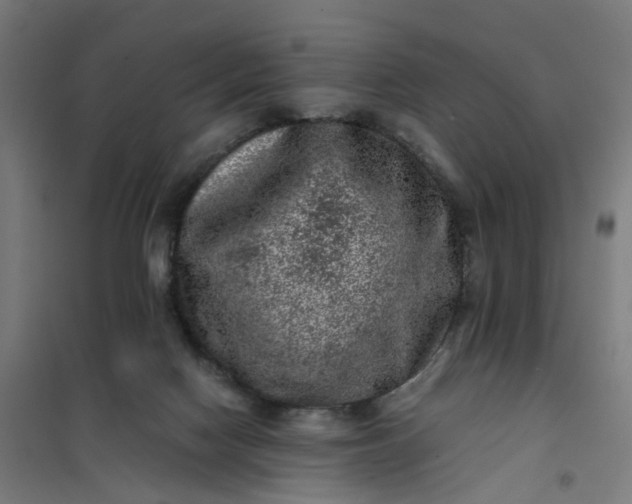 X0000101710074200807241505