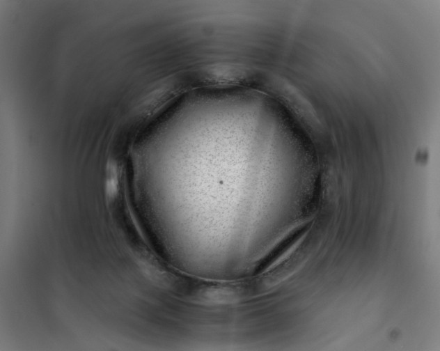 X0000101710075200807241505